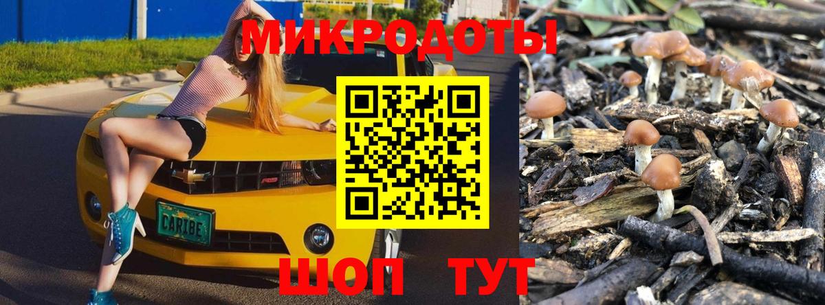 Галлюциногенные грибы ЛСД Сухой Лог